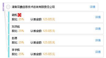 湖南雙鑫信息技術咨詢有限責任公司的專業信息技術咨詢服務